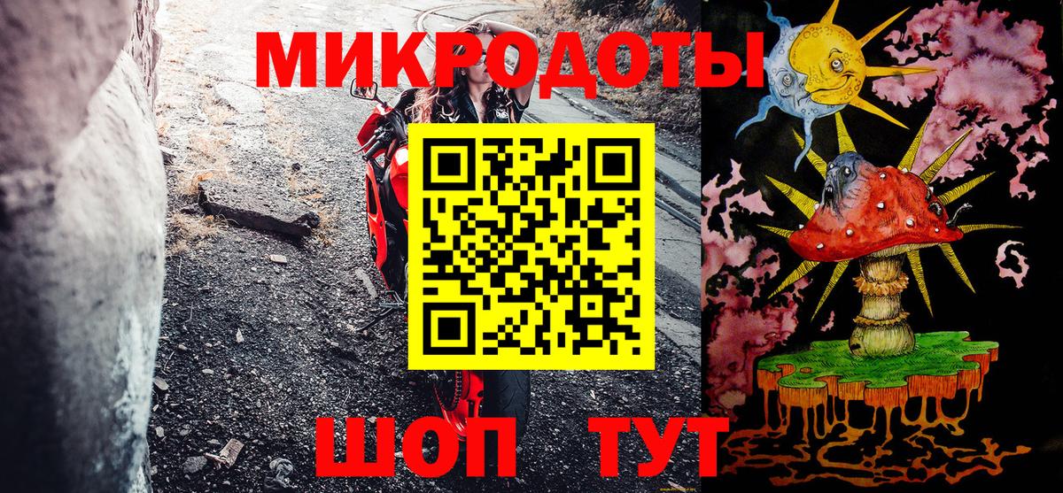 Псилоцибиновые грибы Psilocybe Горно-Алтайск